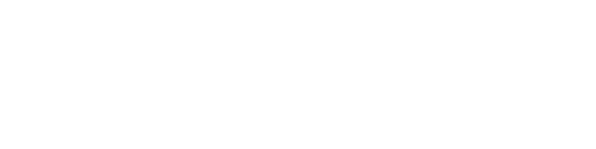 Logo blanc de Rahona Hosting